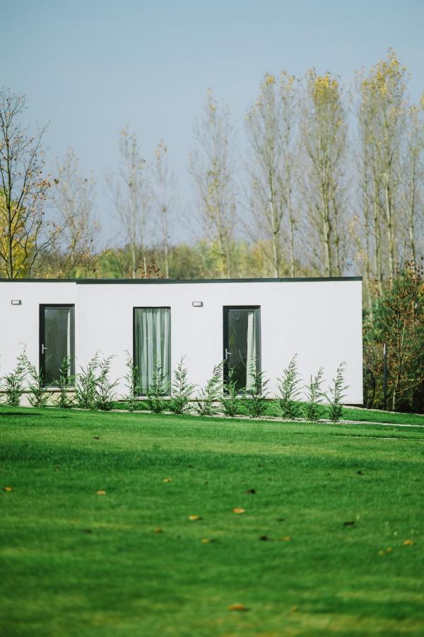 Termal Kre-Spa Sinnicolau de Munte Exterior photo